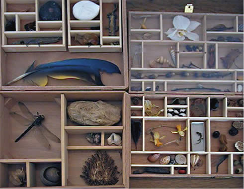 Inspiration - Sammlungskasten